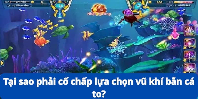 Lựa Chọn Vũ Khí Bắn Cá To - Kinh Nghiệm Đi Săn Siêu Đỉnh 3 Bạn có nên cố chấp để săn cho bằng được chú cá to hay không?